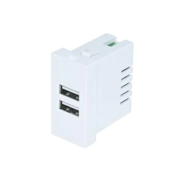 Dual Port TypeA + A USB carjer stop kontak Module 2.1A